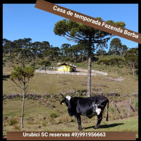 Casa de Temporada Fazenda Borba